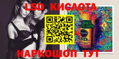 индика Кандалакша