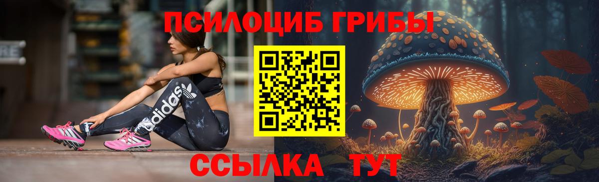 Кувандык  Галлюциногенные грибы MAGIC MUSHROOMS  Вход с VPN 